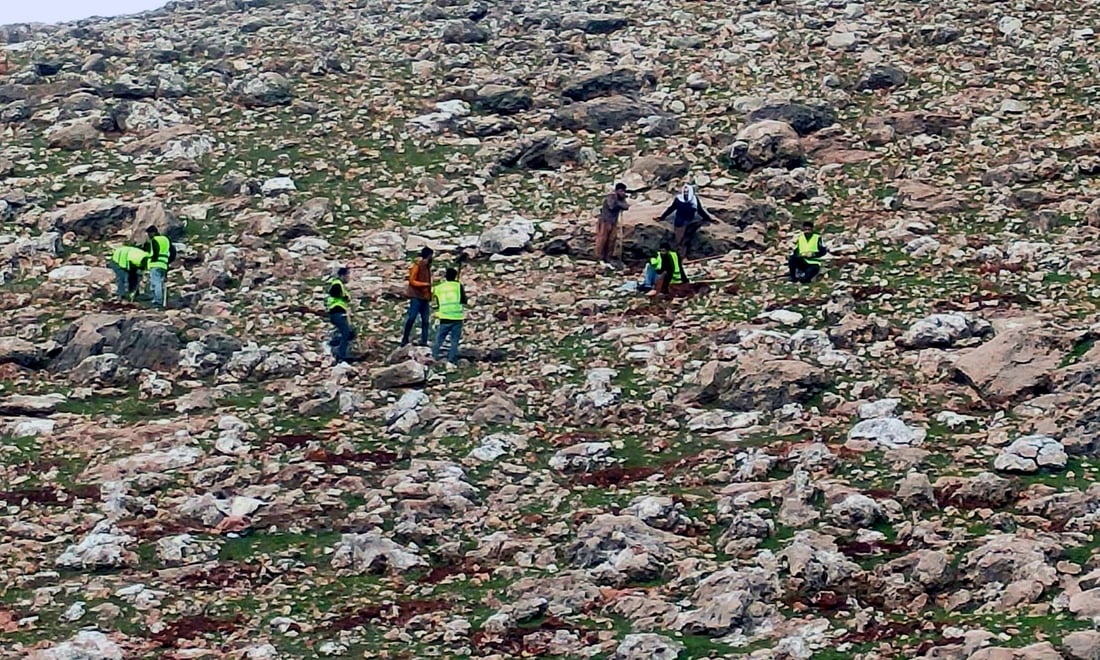 +964صورة من منصة (شبكة): 