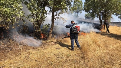 ئاگرەکەی ماوەت 470 دۆنم پوش و پاوان و باخی سووتاند