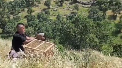 “گه‌ڕاندنه‌وه‌ى ئاژه‌ڵ و باڵنده‌ بۆ ناو سروشت ده‌بێته‌ دیارده‌”