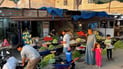 Farmers in Hit supply dawn-harvested crops to local markets