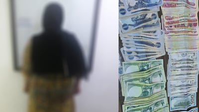 بە تۆمەتی دزیكردن تۆمەتبارێك دەستگیركرا