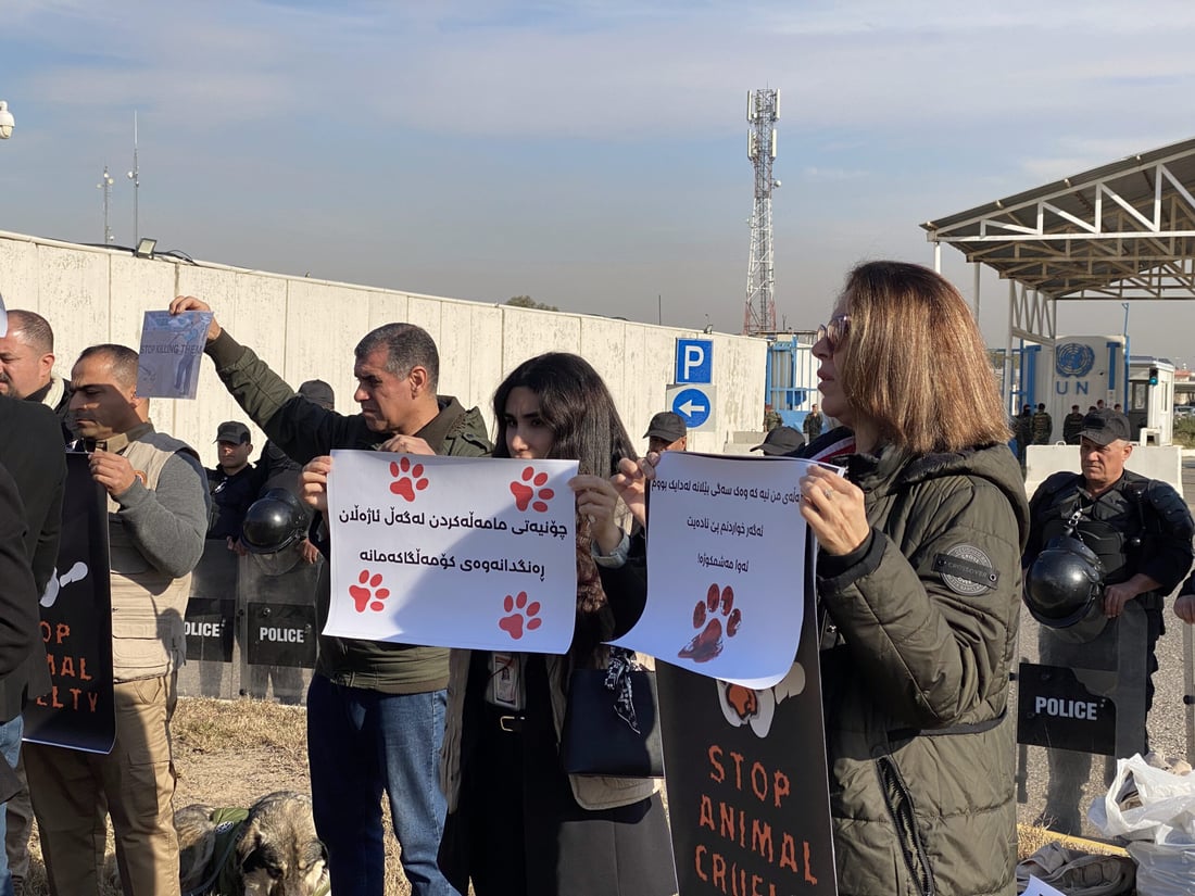 ئاژەڵدۆستان دژی کوشتنی سەگ لەبەردەم بارەگای یو ئێن گردبوونەوە