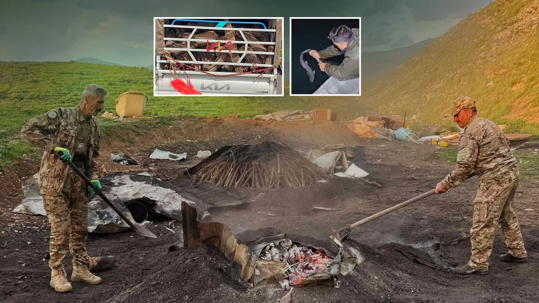 لە سنوری سلێمانی دوو هاوڵاتی بە تۆمەتی داربڕین دەستگیرکران