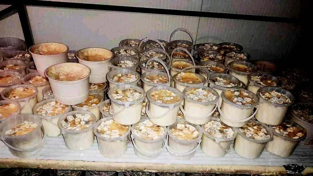 هاوڵاتیانى گوندى كانى پانكه‌ روونكردنه‌وه‌ له‌باره‌ى ماسته‌ كه‌ڕوولێكه‌وتووه‌كه‌ بڵاوكرده‌وه‌