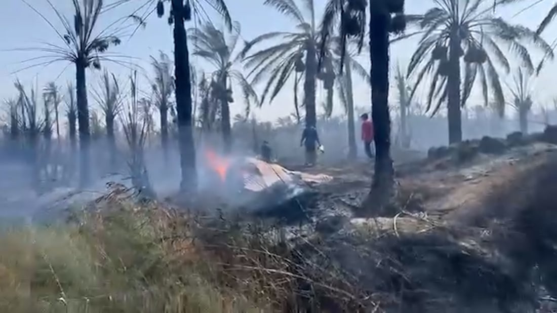 حريق ضخم يلتهم بساتين شمال البصرة.. عمليات إخلاء والدفاع المدني يكافح (فيديو)