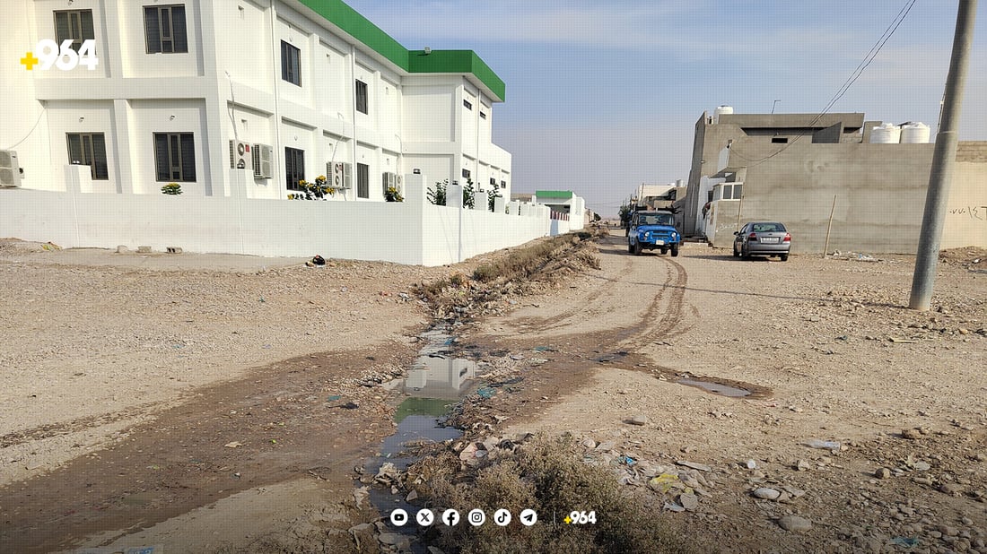 گەڕەکی سەنگاوییەکان لە زستان و لە هاویندا لەخۆیان بێزارن