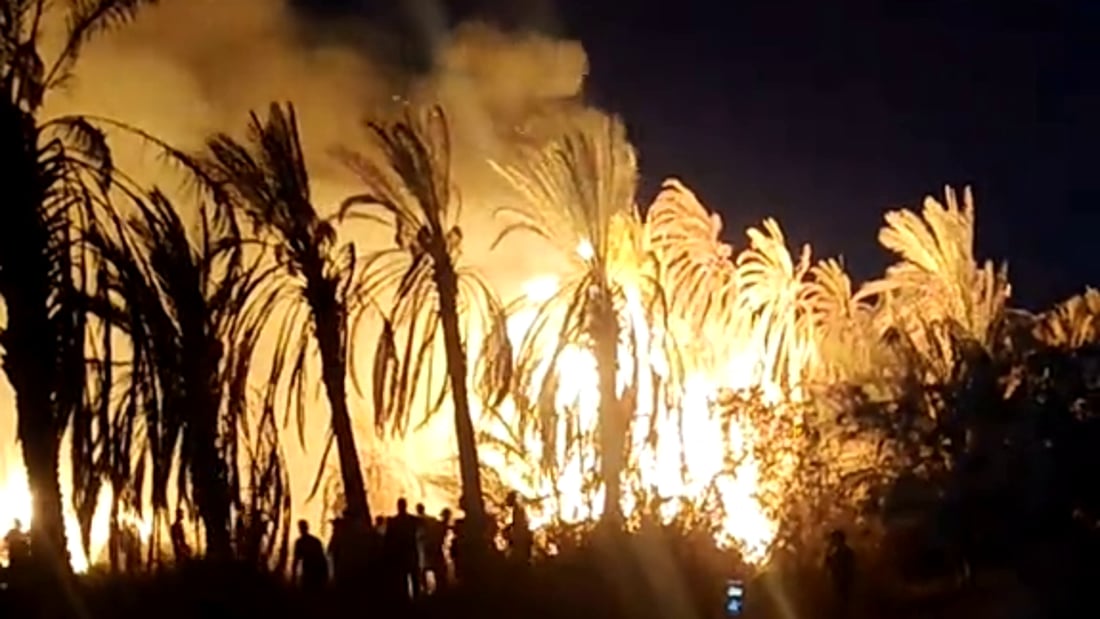 Fire destroys 100 palm trees in northern Basra orchard