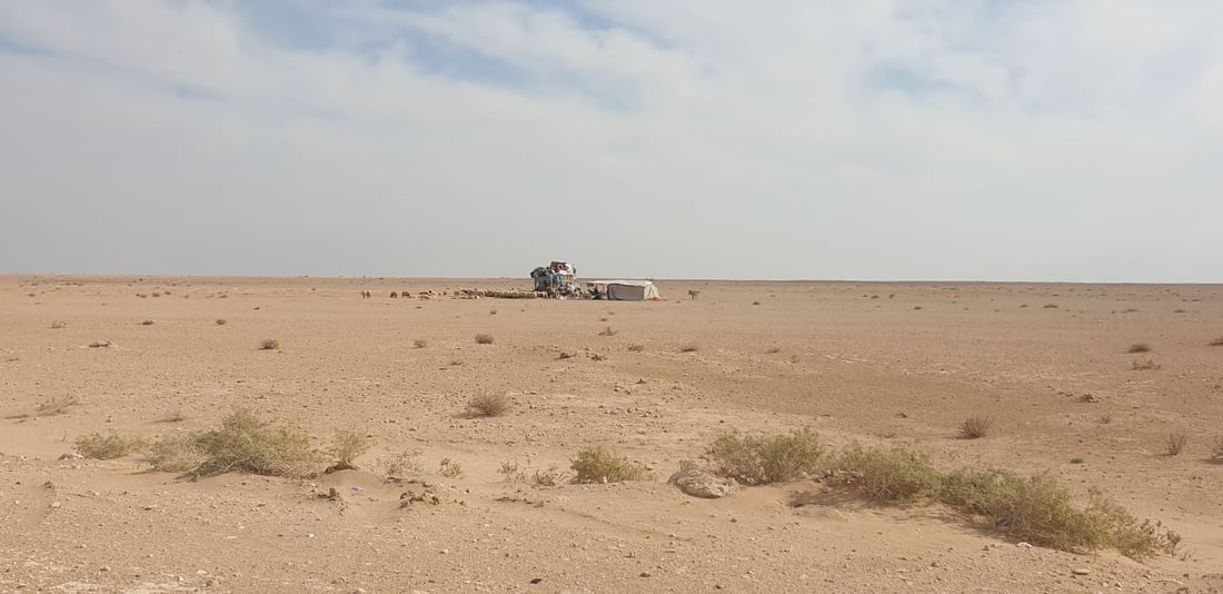 رحلة الشتاء تبدأ في صحراء العراق.. بدو السماوة: سنعود إليكم مع غياب “سهيل” (صور)