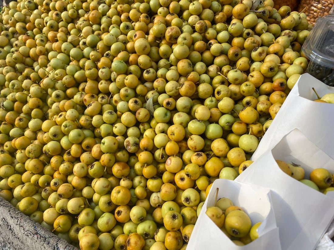 گۆیژە تام خۆشەکەی دهۆک پێگەیشتووە