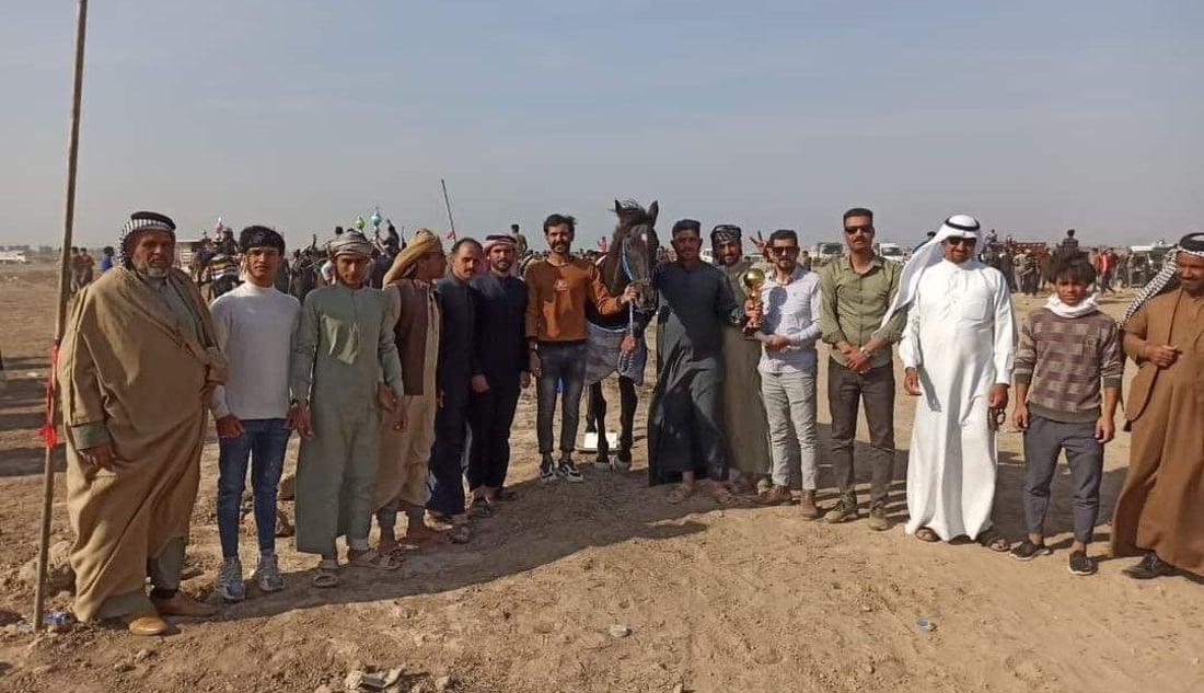 الزلزال والجنرال للقوة والسحر.. موجة ولع بالخيول تجتاح العراق وشهادات من السماوة
