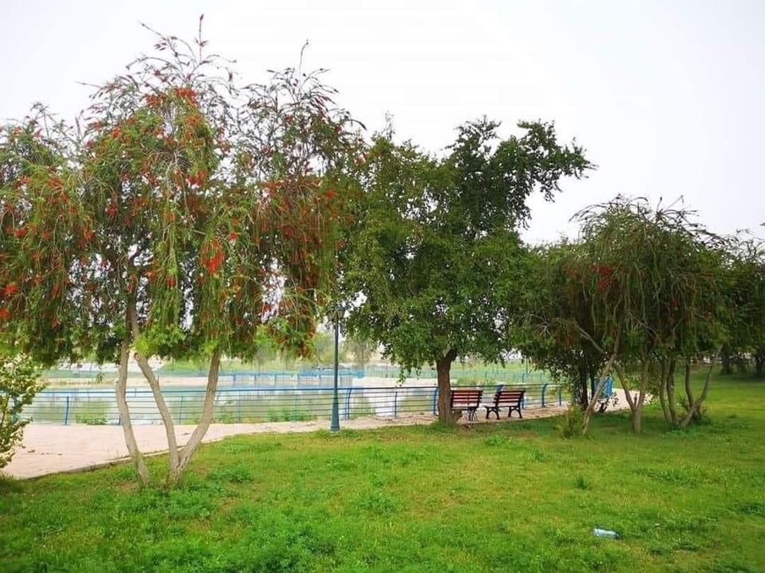 صور جديدة من متنزه صدر القناة في بغداد.. نسبة الإنجاز 80% والبلدية تعد بالمزيد