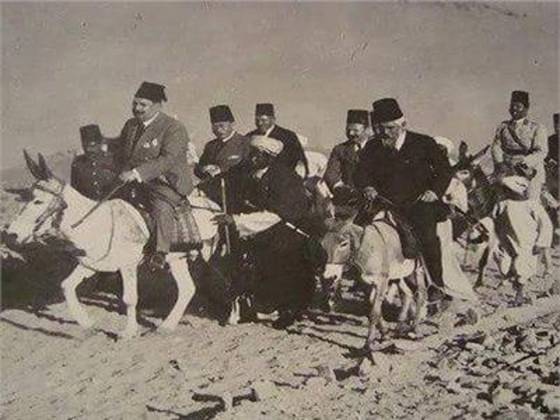 رۆژى جیهانى گوێدرێژ