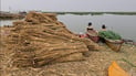 Reed harvesters in Dhi Qar fuel traditional economy across southern Iraq