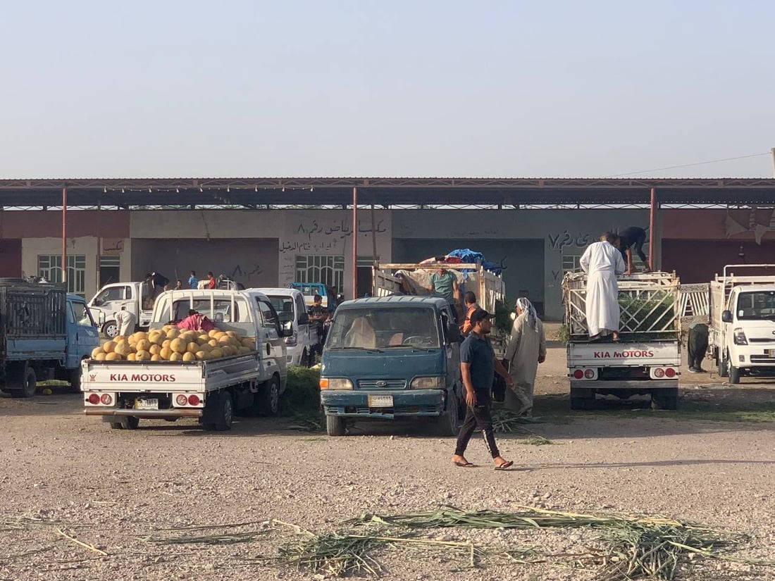 بطيخ الرضوانية وصل اليوم.. التجار جاؤوا من كل مكان بحثاً عن الراني والشوكي (صور)