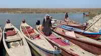 الديوانية تبقى محطة استراحة للطيور المهاجرة.. البيئة ت...