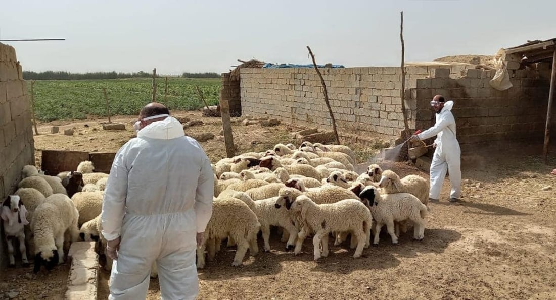 Garmian launches disinfection campaign to curb hemorrhagic fever risk