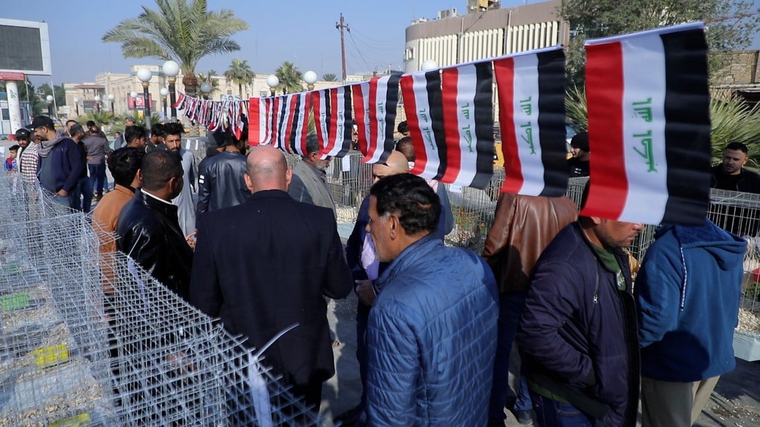 الأبراهما التركي والبلتم الإسباني في مهرجان دجاج الزينة الأول بالديوانية (صور)