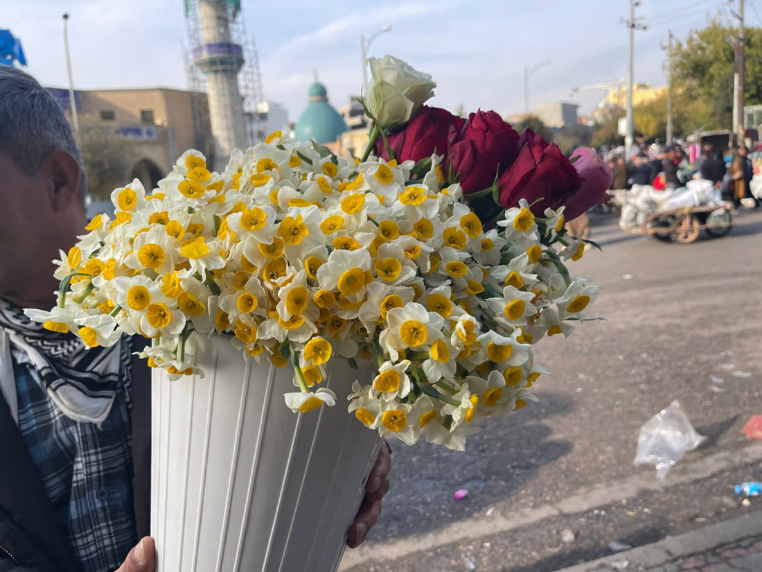 Iranian narcissus flowers from Shiraz enter Sulaymaniyah markets