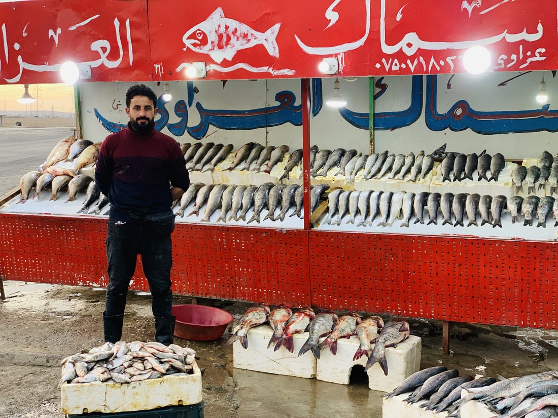 صور النهار من أرخص سوق سمك في الموصل والخير كثير