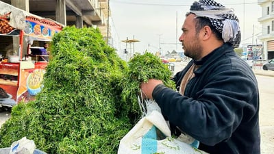 صور: بعد الكمأ.. “رشاد البر” يغزو أسواق الخضروات في المثنى