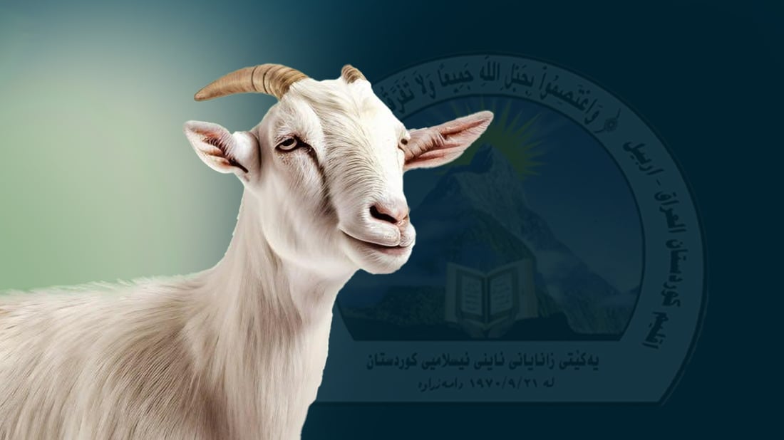 Kurdistan fatwa council urges residents to sacrifice locally, not send money abroad