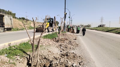 بە بینینی زەیتوون دەروازەی کەلار دەستپێ دەکەیت