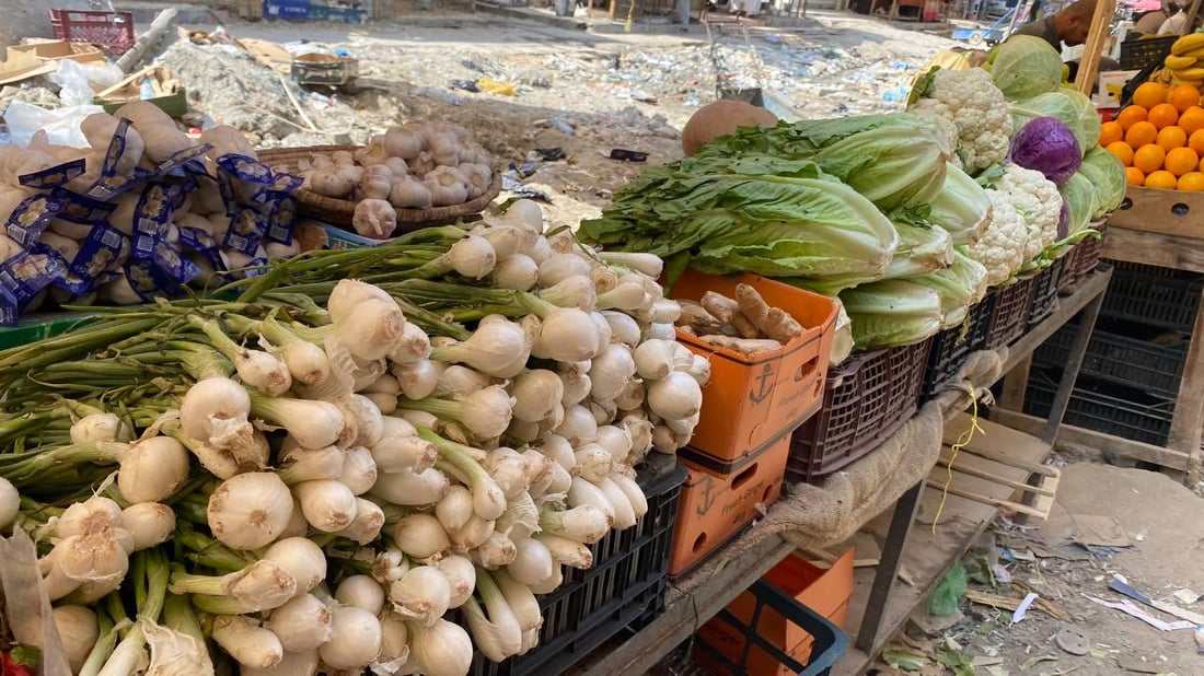 أول قطفة شتوية وصلت البصرة مبكراً والأسعار أقل من 1000 (صور)