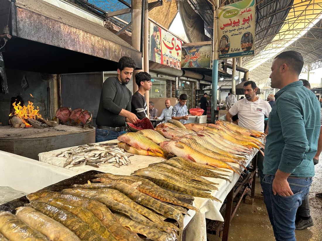 صور: أسماك المحافظات لم تصل الى سوق الميدان في الموصل.. والسعر ارتفع قليلاً