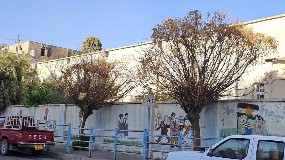 دار چەترەکانی شەقامی عەونی کۆیە زەرد هەڵگەڕاون و وشکبوون