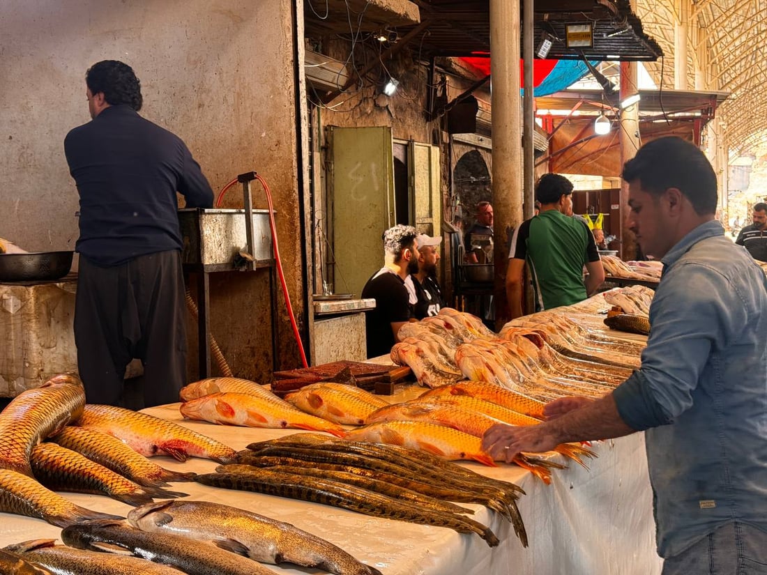 سوق السمك في الموصل ينتعش.. زوار أجانب يتوافدون يومياً (صور)