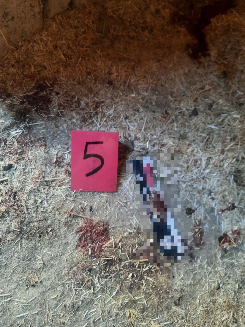 امرأة تذبح عروساً بالسكين في حظيرة أبقار بصلاح الدين