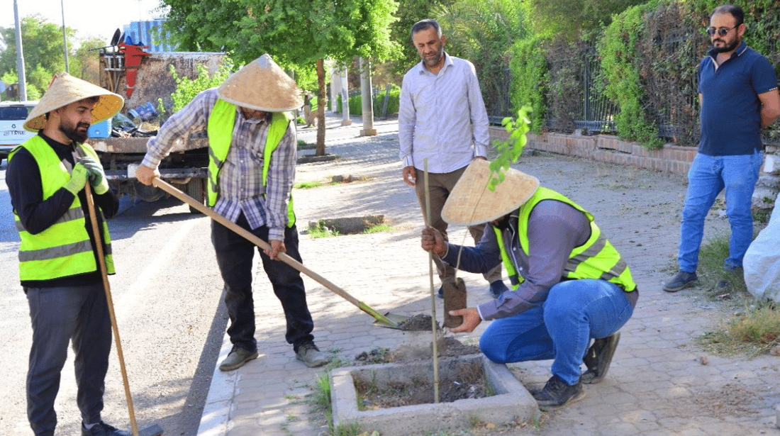ئاو بوەستێ دارچاندن لە هەولێر ناوەستێ 