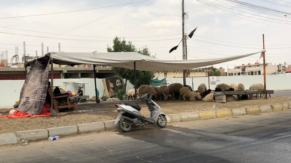 بغداد: سايبا تجر حصاناً مع صور “غريبة” كثيرة.. ماذا يحدث في شرق القناة؟