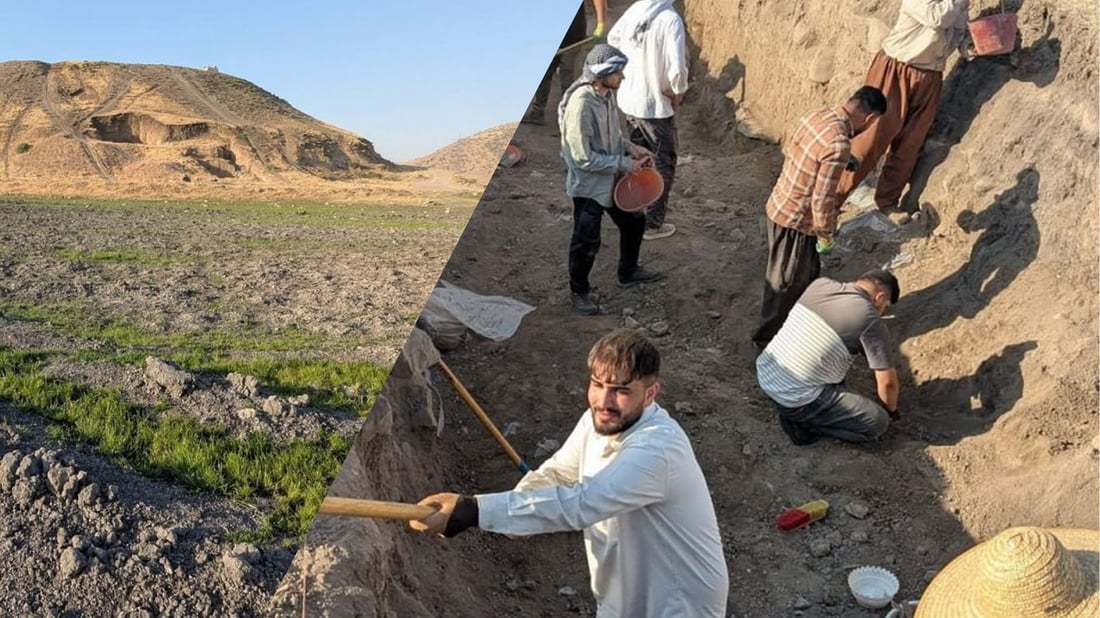 کارى کنەو پشکنین لە گردى تلێ دەستپێدەکاتەوە