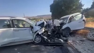 لە ئەوروپا گەڕایەوە و لە رووداوێکدا گیانی لەدەستدا