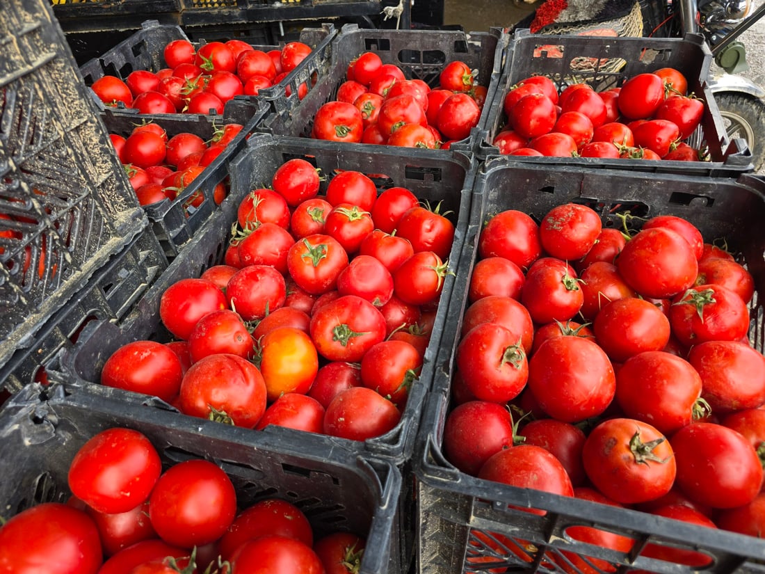 کرانەوەی مەرزەکانی کوردستان هەرزانی خستە وڵات