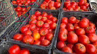 کرانەوەی مەرزەکانی کوردستان هەرزانی خستە وڵات