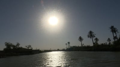 البصرة: مبادرة الرئيس لا تعوض خسارتنا لملايين النخيل.. ونكافح لتكثير البرحي