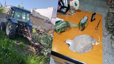 لە سنووری سلێمانی چوار کەس لەسەر سەرپێچی ژینگەیی دەستگیرکران