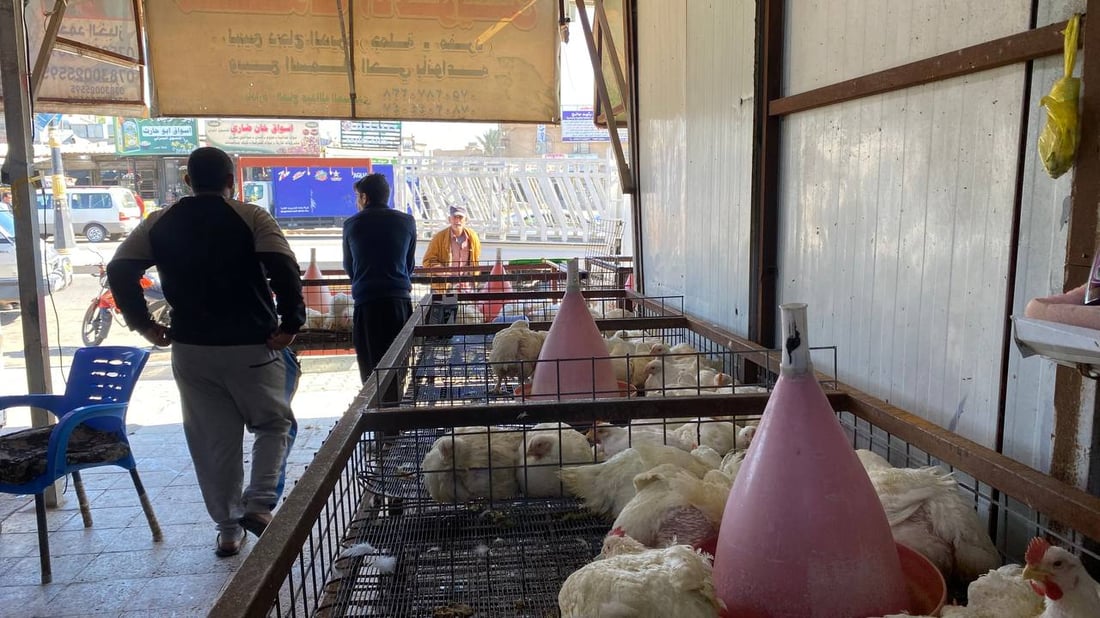 صور: قصابو أبو غريب أغلقوا محالهم بسبب ارتفاع الأسعار.. ودجاج أربيل أنسب البدائل