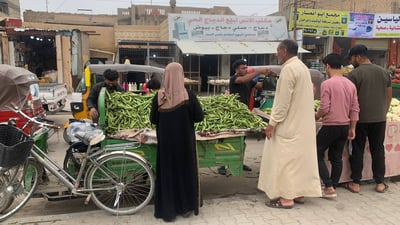 صور: باقلاء أبو غريب تهبط إلى 400 دينار بعد نزول كميات كبيرة دفعة واحدة