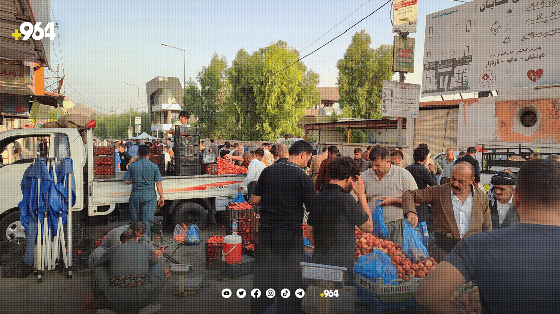 زەوی بۆ بەقاڵەکانی تەکیە دابینکراوە بەڵام ناڕۆن