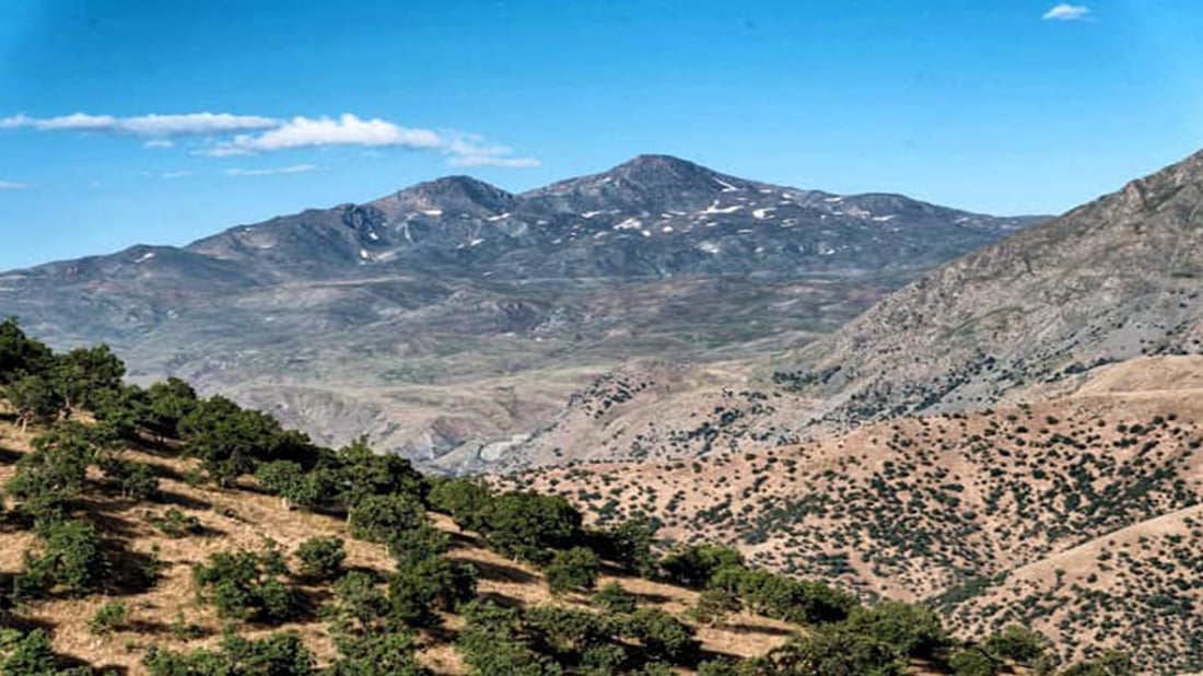 جوتیارانی برادۆست داوا دەکەن بەرهەمی دەرەکی قەدەغە بکرێت
