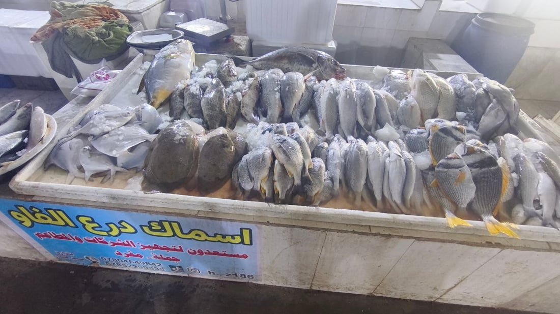 صور من مزاد الفاو الصباحي: زوج الصبور 150 ألف وإن لم يعجبك فالزبيدي بـ40 ألف دينار