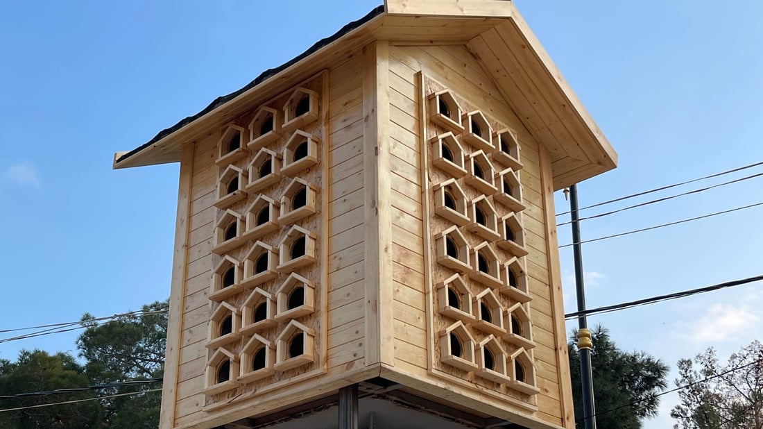 لە رانیە ماڵە دارینە بۆ باڵندەکان دروستکرا