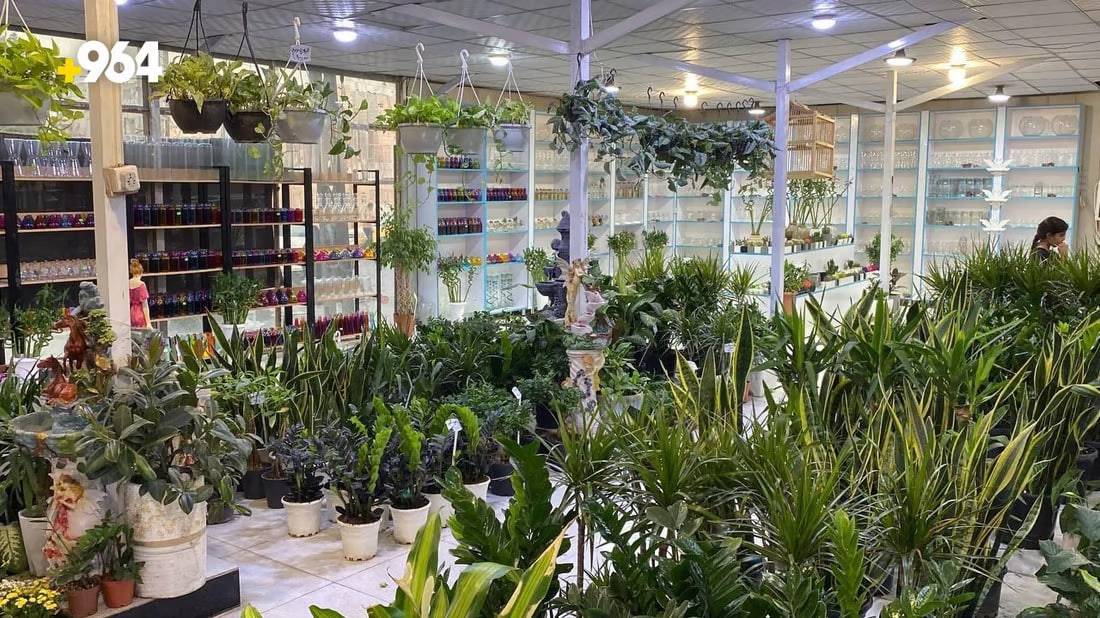 964mediaصورة من منصة (شبكة): 