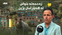 “ئاگاداری ئازادکردنی ورچەکان نەبووین و هەوڵ دەدەین بیناگەڕێنینەوە”