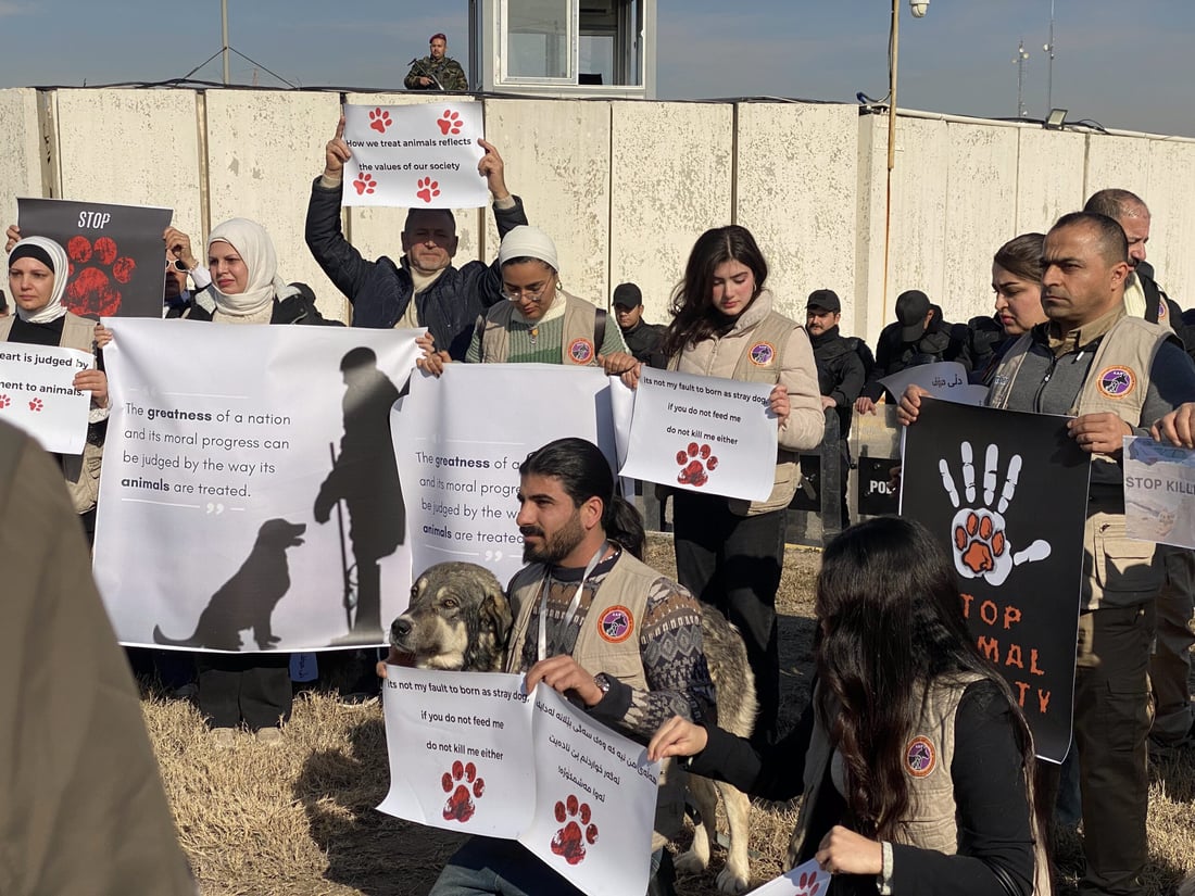 ئاژەڵدۆستان دژی کوشتنی سەگ لەبەردەم بارەگای یو ئێن گردبوونەوە