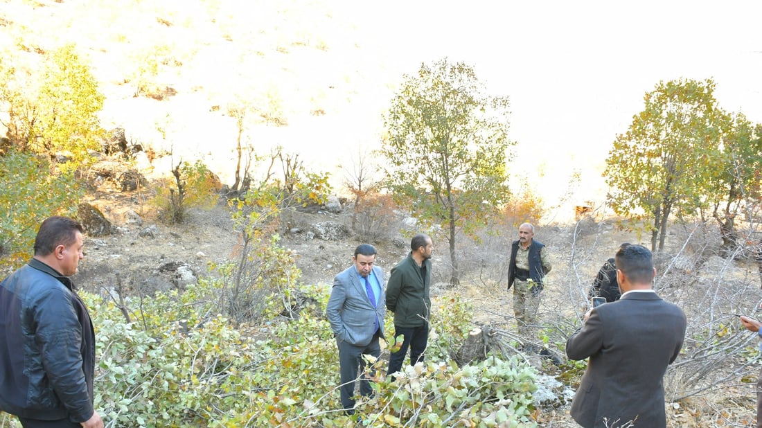 به‌دواداچوون بۆ بڕینه‌وه‌ی سه‌دان داری به‌ڕوو له‌ دۆڵی ئاكۆیان ده‌كرێت