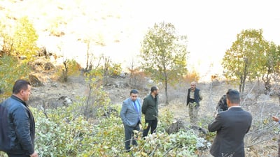 به‌دواداچوون بۆ بڕینه‌وه‌ی سه‌دان داری به‌ڕوو له‌ دۆڵی ئاكۆیان ده‌كرێت